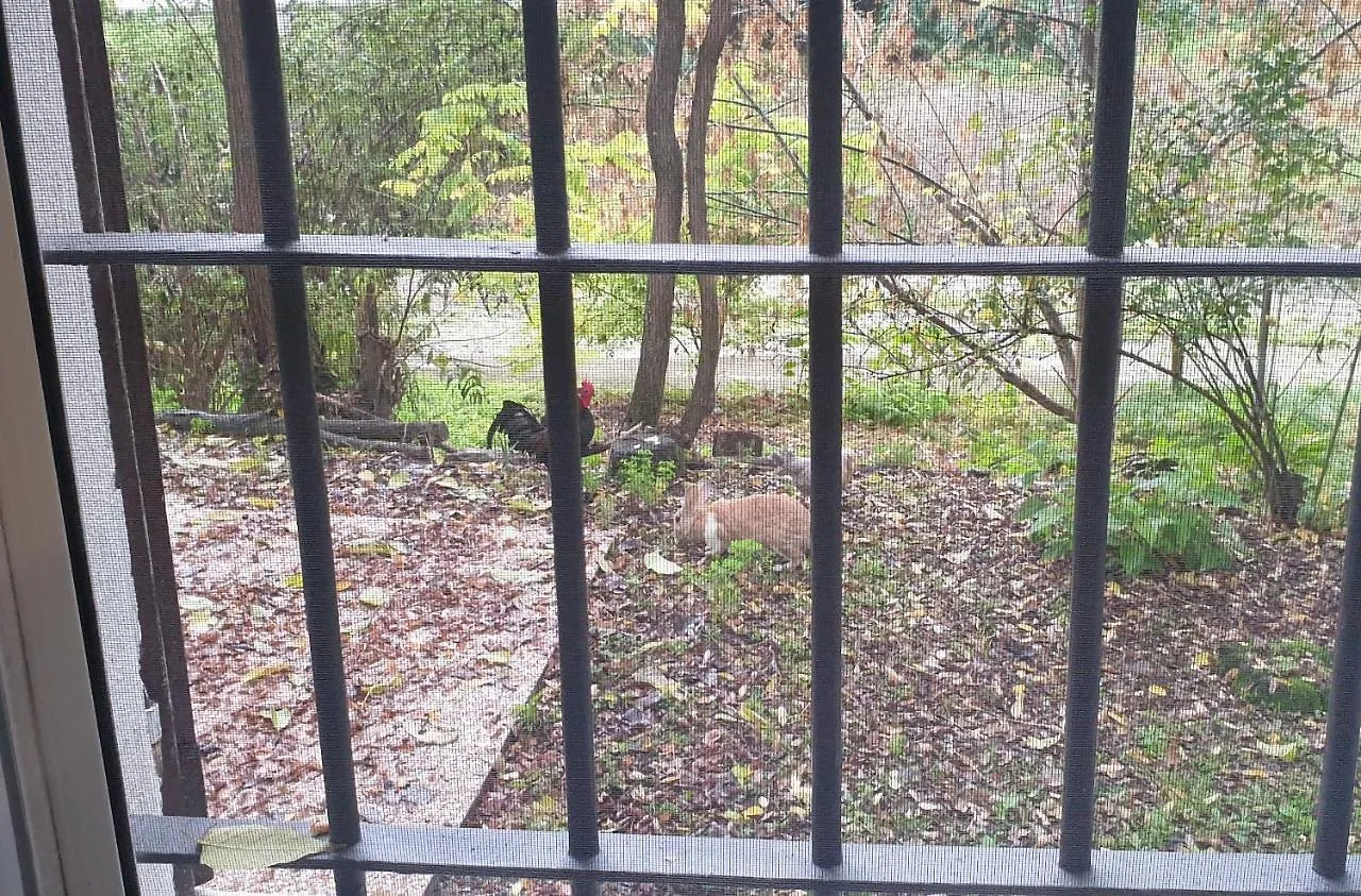 Fare Bnb - Casetta Sul Fiume In Citta Reggio Emilia İtalya